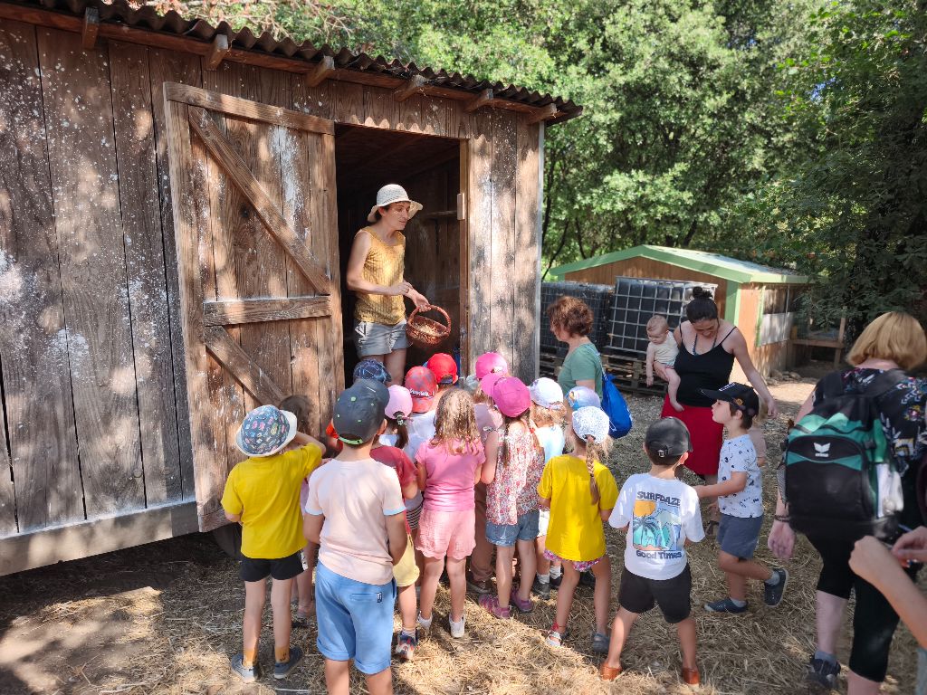 Activités avec les enfants